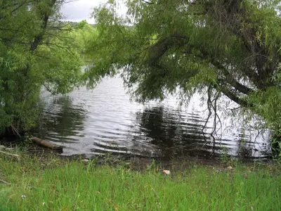 Parker Canyon Lake Shoreline - panoramio