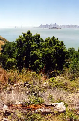 Angel Island, SF