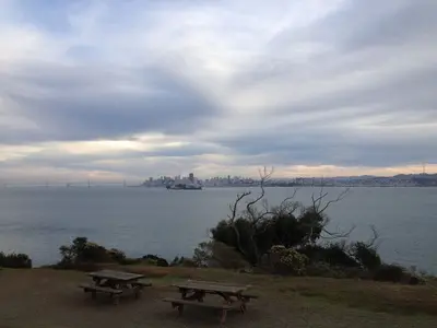 Angel Island View