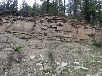 Madera Formation