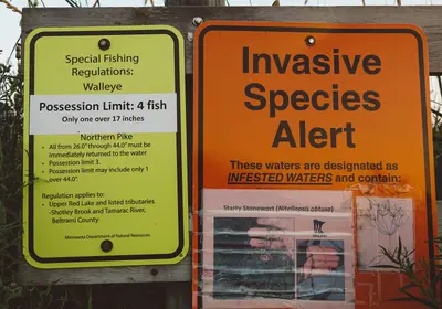 Invasive Species Alert and Special Fishing Regulations - Upper Red Lake, Minnesota (37642387111)