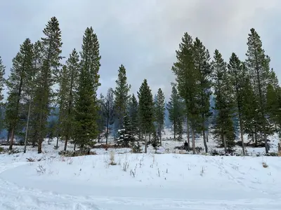 Smith Creek Pile Burning (52505922877)