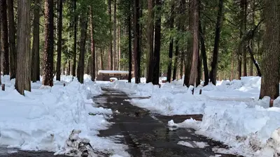 Upper Pines snow-plowed road