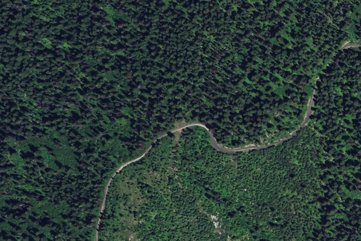 Aerial view