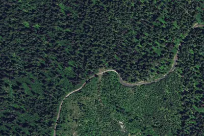 Cw244rd-010