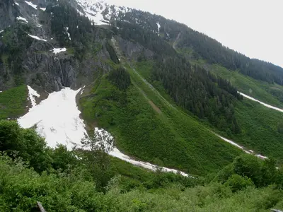 Avalanche Chute - Flickr - brewbooks