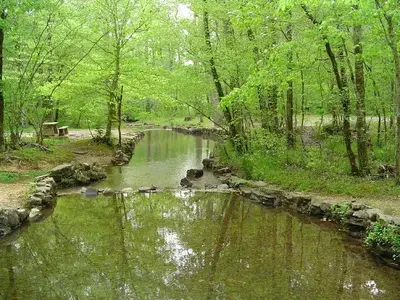 Spring Branch at Pocket Recreation Area