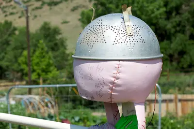 Scarecrow at Golden's Community Gardens (5896062486)