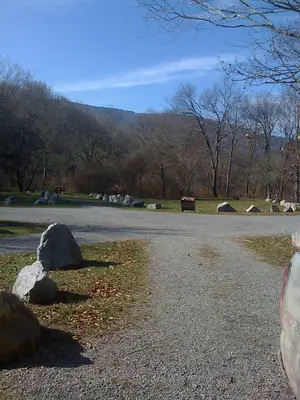 Williams River Campground - panoramio