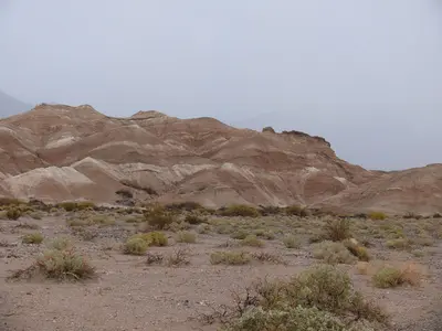 Death Valley 2010 Mesquite Spring Campground (6159810950)