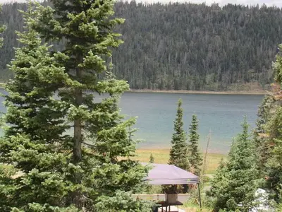 Spruces campsite