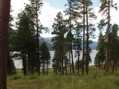 Graham Creek Campground