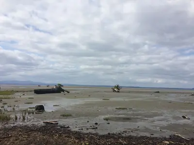 Beach at Port Clemens, Haida Gwaii (26990032420)