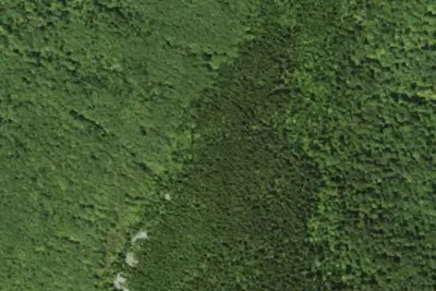 Camp site