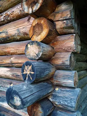 Pyhala Farm wood shed detail