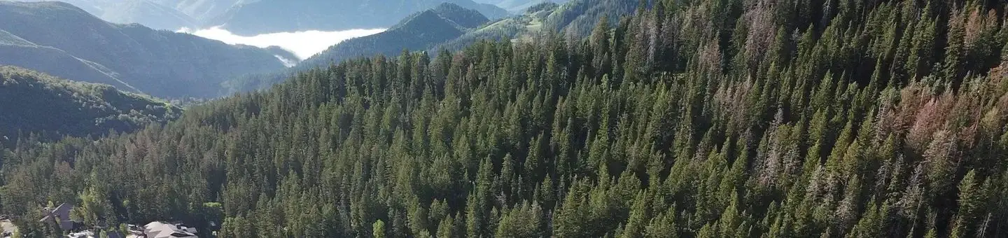 Mt. Timpanogos Campground