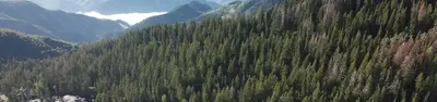 Mt. Timpanogos