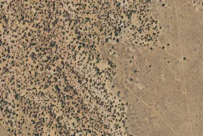 Camp site
