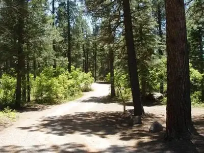 East fork campground