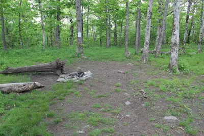 Springer Mountain campsite (21990723340)