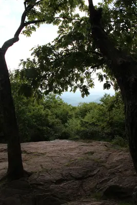 Springer Mountain summit (21991043638)