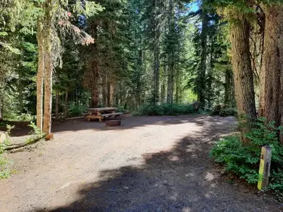 campsite 1