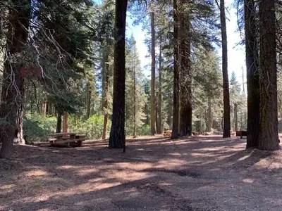 Campground sites