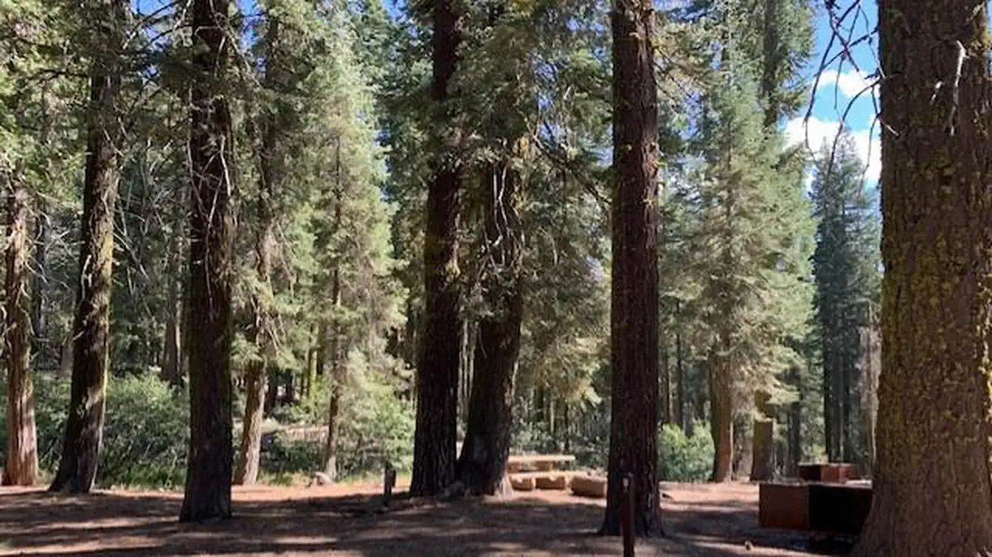 Campground sites