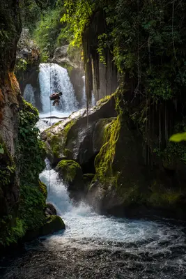Puente de Dios, San Luis Potosí God's Brigde (24973723924)