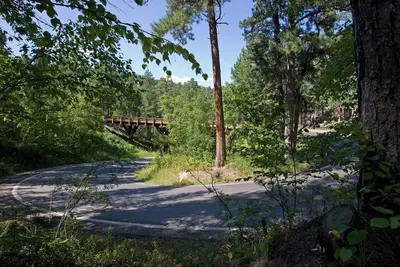 Pigtail bridge (3917173871)