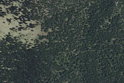 100200060503-059B