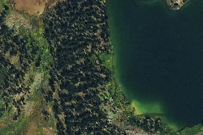 Camp site