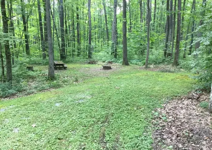 Typical Tracy Ridge campsite