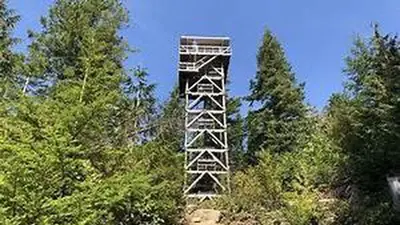 Heybrook Lookout