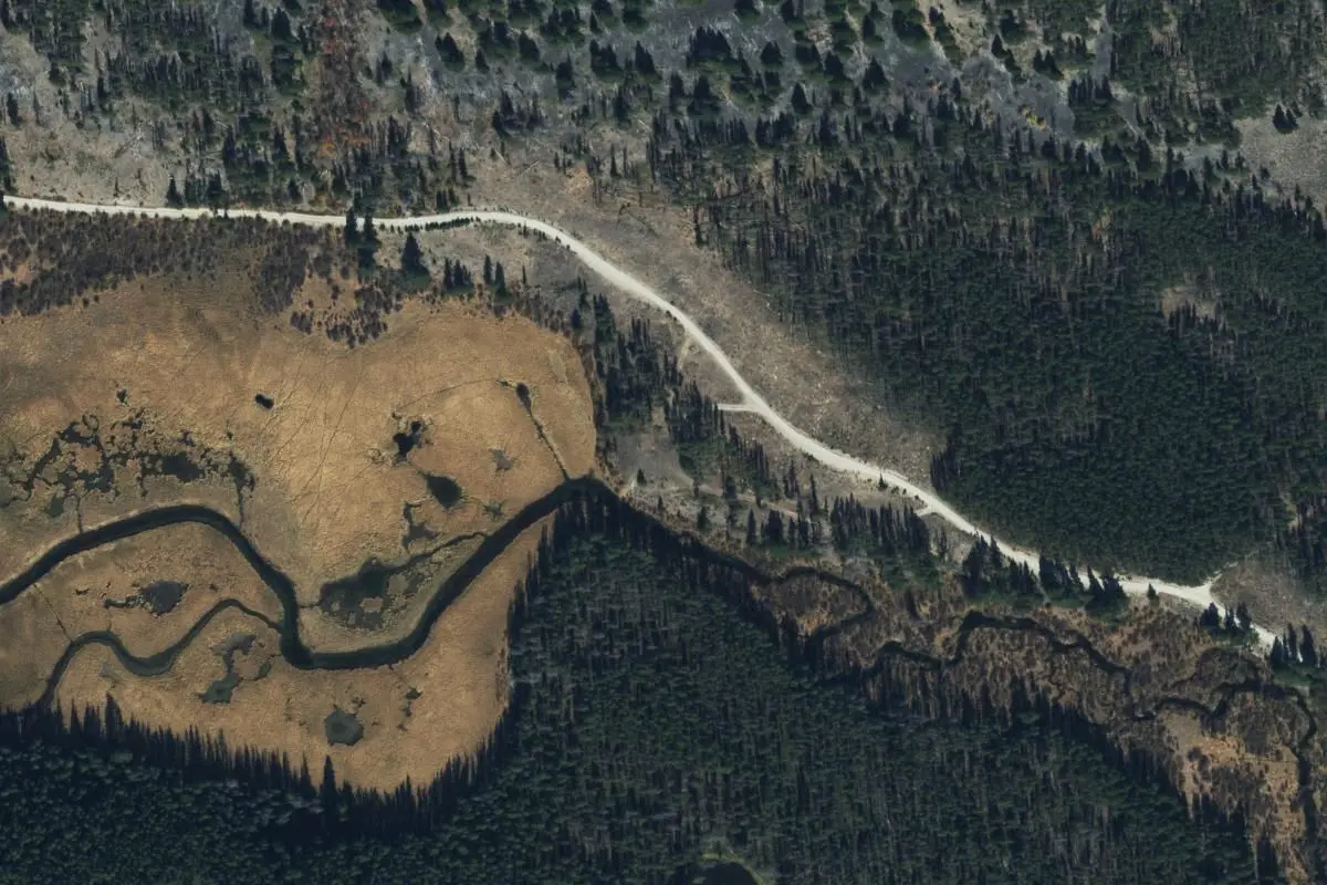 Aerial view