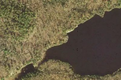 Camp site