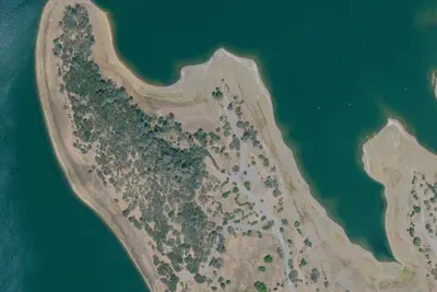 Lupine Shores Camp Site