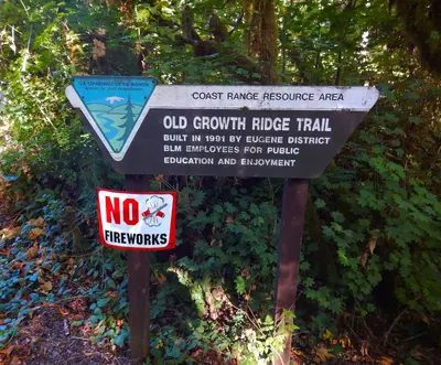Old Growth Ridge National Recreation Trail (49968733842)