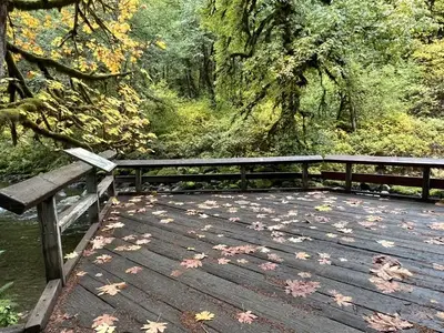 ADA Accessible Fishing Platform
