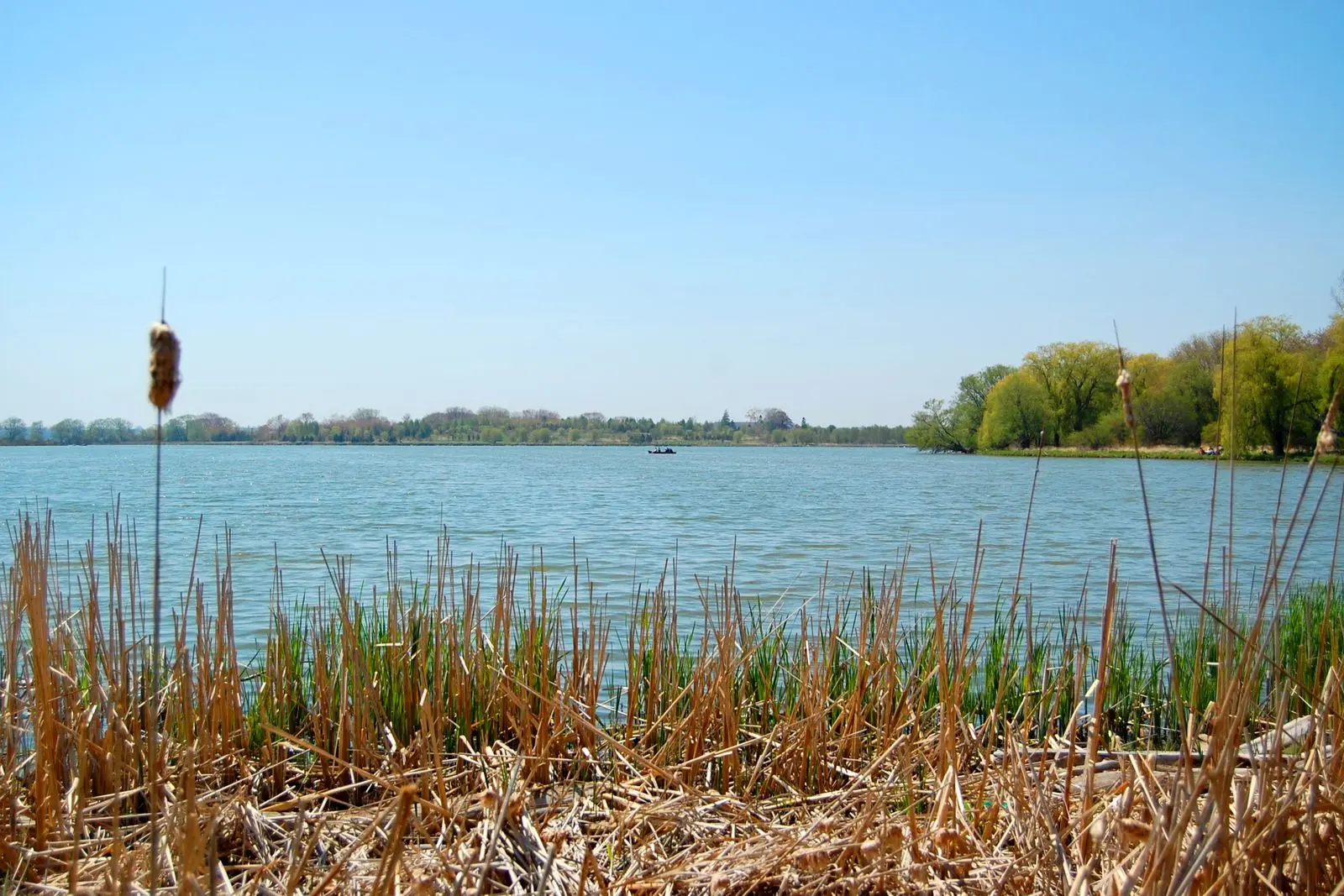 Photo of Darlington Provincial Park