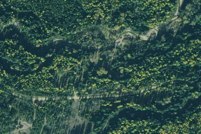 Rd 231 Site 9