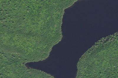Partridge Lake #1