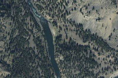 Yellowstone River Trail