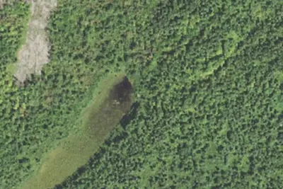 Sugarloaf Pond