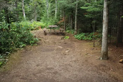 Daisy Farm Campground Test Site #18