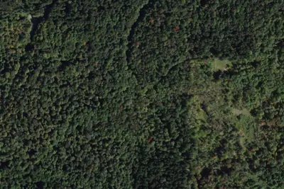 Camp site
