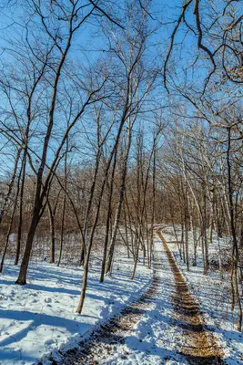 Lake Maria State Park in Winter, Monticello, Minnesota (23811966039)