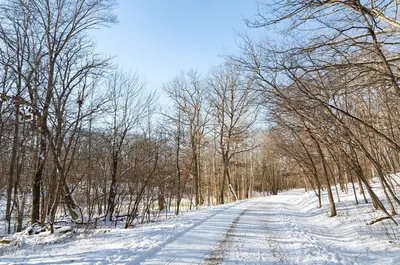 Winter at Lake Maria State Park, Minnesota (23978991560)