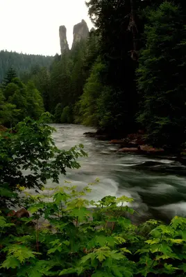 North Umpqua River and Rock Stacks-Umpqua (25365670892)