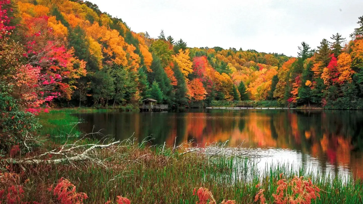 Beartree Lake  in the Fall